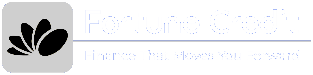 Fortune Credit